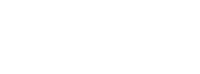 Salt Logo